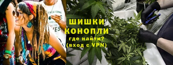 ПСИЛОЦИБИНОВЫЕ ГРИБЫ Белоозёрский