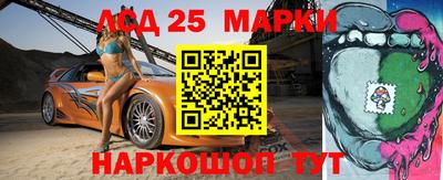 гидра Будённовск