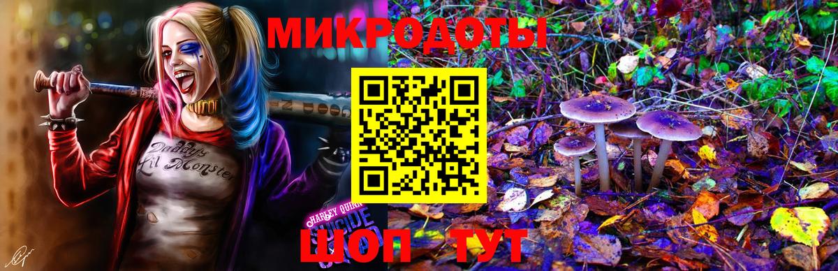 Галлюциногенные грибы мицелий  Псилоцибиновые грибы Cubensis  Горячий Ключ  Вход с VPN 